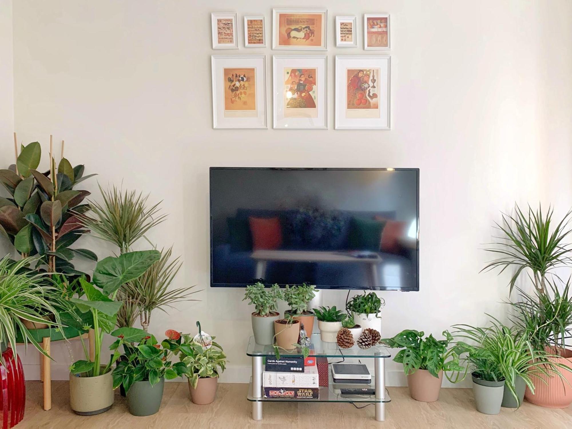 Charming Flat In Bermeo'S Old Town- Nardiz 아파트 외부 사진
